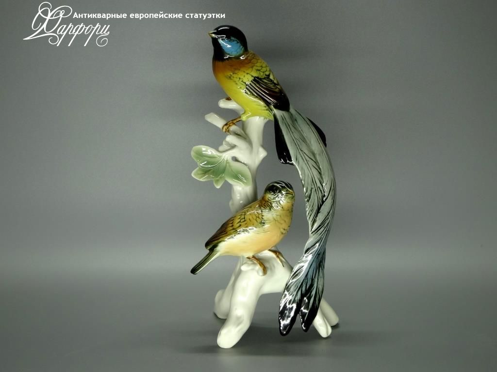 Купить фарфоровые статуэтки KARL ENS, Райские птицы, Германия